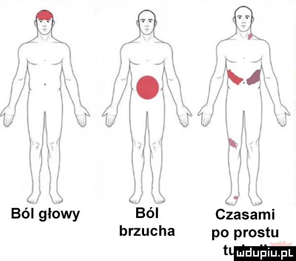 bó głów ból brzucha czasami po prestu um