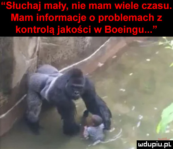 upiu pl