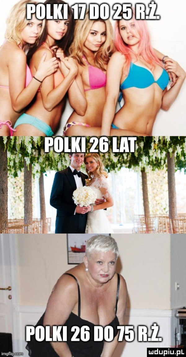 Obrazek
