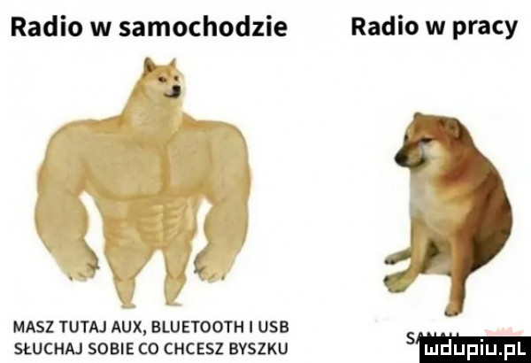 radio w samochodzie. abakankami j tc masz tutaj atx bluetooth i usb słuchaj sobie co chcesz buszku radio w pracy