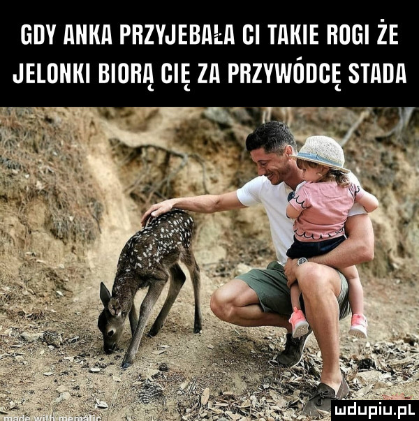 any mam phzvjebnł a cl mm nam że jelonki bliną cl zn pbzywódgę sann cę