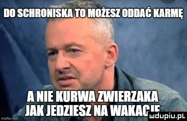 iii sgiibiiiitśiia i ll możesz illllllć mime x x i a hme kiiiiwa zwierzaki wx mk leiiliesl ica wﬂﬂﬂﬂmﬁuw fl