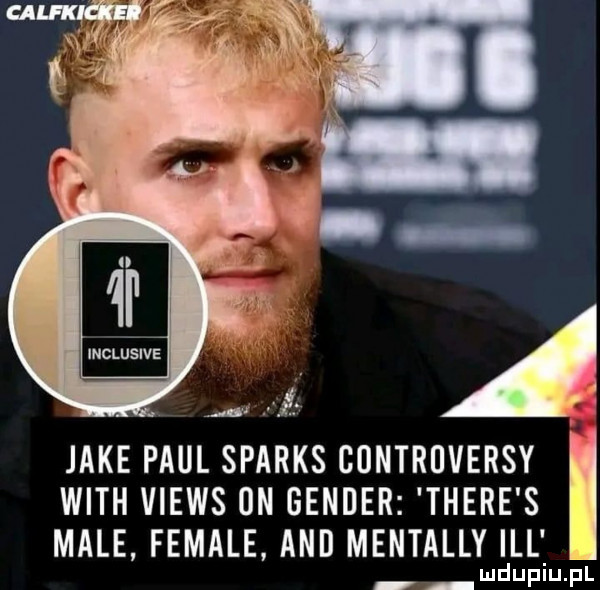 inclusive jake paul sparks cuntruversy with views un gender thebe s male female and mentalny ibl