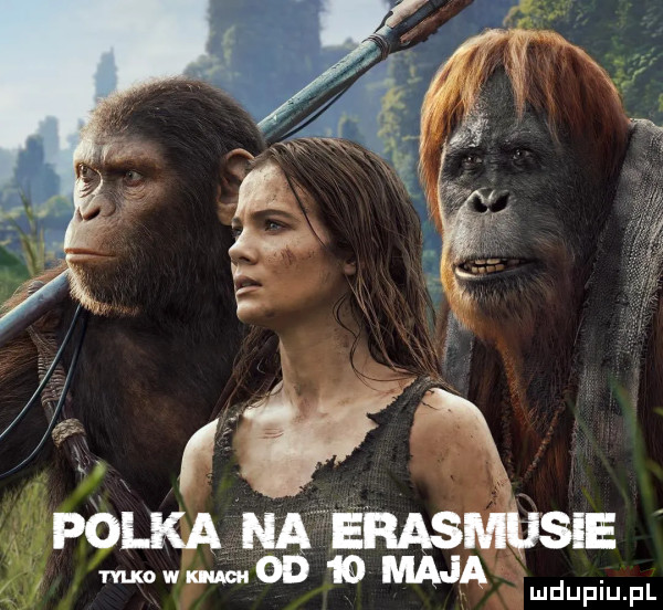 alex i  l ij iu