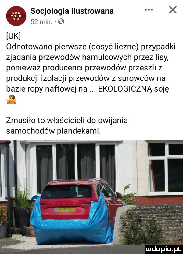 socjologia ilustrowana x    mm uk odnotowano pierwsze dosyć liczne przypadki zjadania przewodów hamulcowych przez lisy poniewaz producenci przewodów przeszli z produkcji izolacji przewodów z surowców na bazie ropy naftowej na ekologiczną soję zmusiło to właścicieli do owijania samochodów plandekami