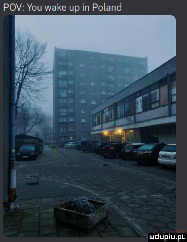 pcv y-u wake up in poland
