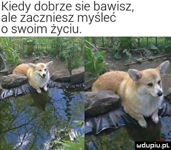 kiedy dobrze sie bawisz ale zaczniesz myśleć o sw  m zyciu