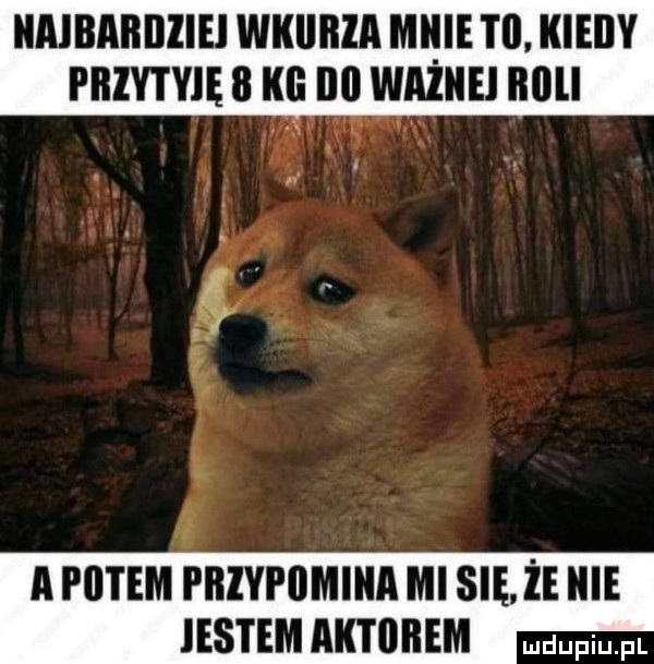 iiaibabiiiiei wkiiiiia micie i ll. kiedy pbiy i yię   i lal ważne illlll n w a i iktem piiiyi iimiiia mi się icie iestem agon