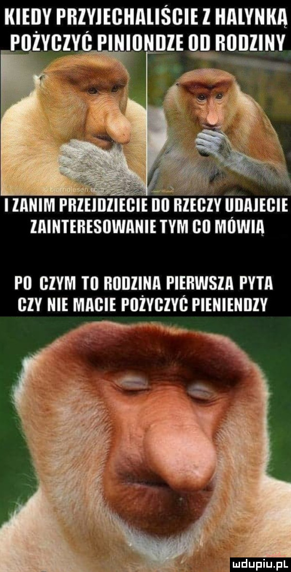 kieily przyiegiialiśgie l iialynka poiyczvc piniiiniize   rodziny mm rn na th unmecie iaintehesowanie tym co muwm p  givm t  rodzina piehwsia pyta czy nie macie pdżygzye pienieniiiy luduiu pl