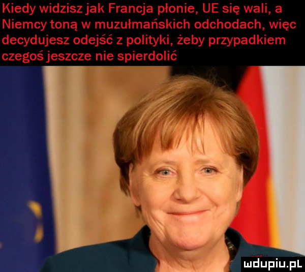 kiedy widziszjak francja płonie ue się wali a niemcy toną w muzułmańskich odchodach ęc decydujesz odejść z polityki żeby przypadkiem czegoś jeszcze nie spierdolić