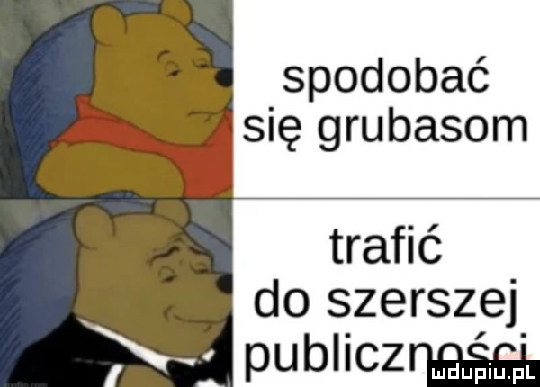 spodobać. się grubasom trafić do szerszej publicz gum