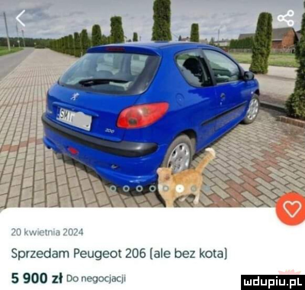 sprzedam peugeot     ale bez kota   goo     me