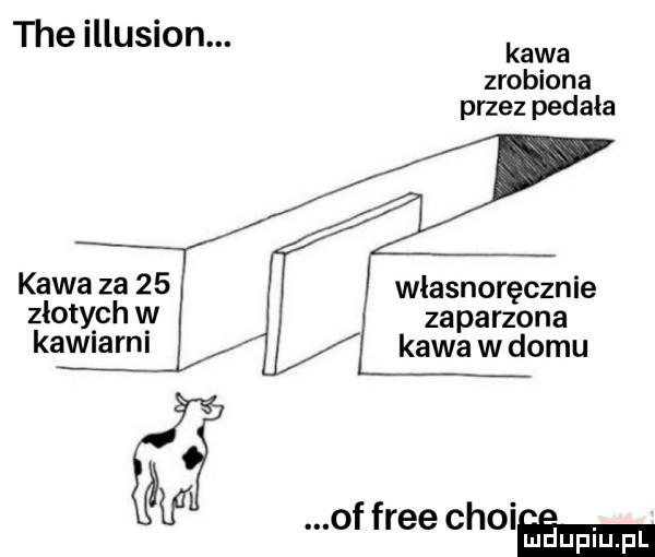 tee illusion. kawa zrobiona przez pedała x kawa za    własnoręcznie złoty ch vy za parzona kaw aan kawa w domu ut of free choieemmn