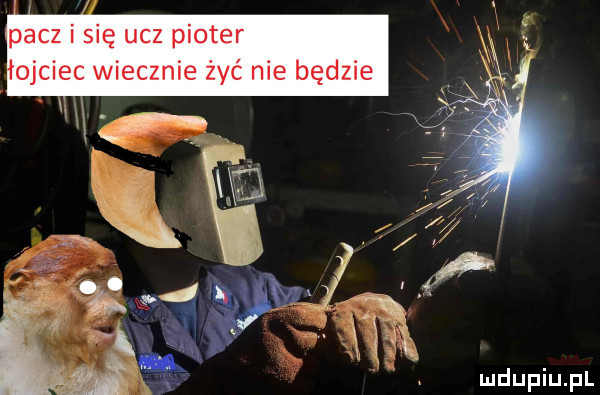 pacz i się ucz ploter łojciec wiecznie żyć nie będzie