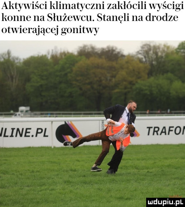 aktywa śni klimatyczni zakłócili w ścigi nie na służewcu. stanęli na drodze otwierającęi gonith