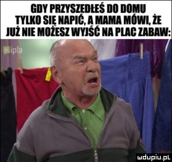 giby i lllyslillłeś ibl iiiiiii nin samplu ammann lużnlmnuszwuśemuc uuu lip