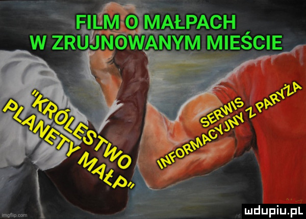 fiięmeosmałpach w zol ibngwanym mieście