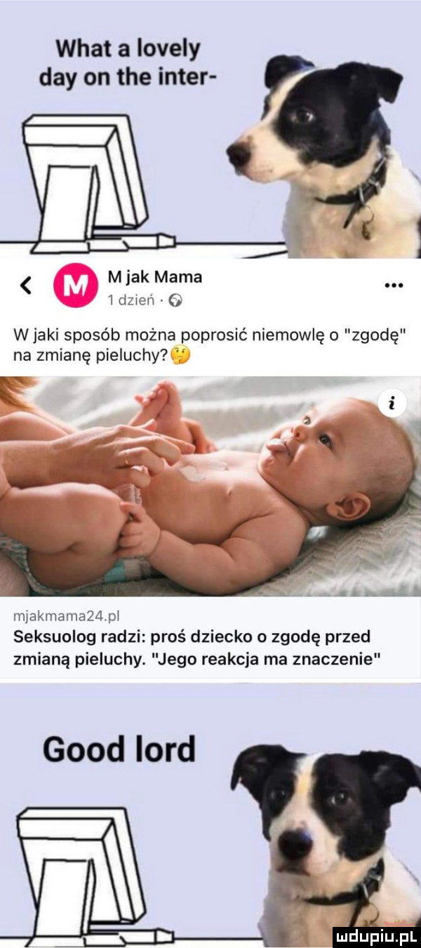 wiat a lovely dcy on tee inter lg młak mama iciiieu w jaki sposób można poprosić niemowlę o zgodę na zmianę pieluchy makmamaz l pi seksuolog radzi proś dziecko o zgodę przed zmianą pieluchy. jego reakcja ma znaczenie geod lord luduiaiupl