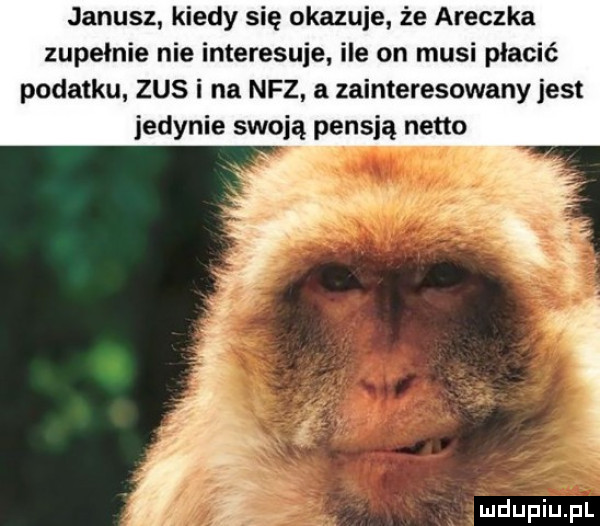 janusz kiedy się okazuje że aneczka zupełnie nie interesuje ile on musi płacić podatku zus i na nfz zainteresowany jest jedynie swoją pensją netto