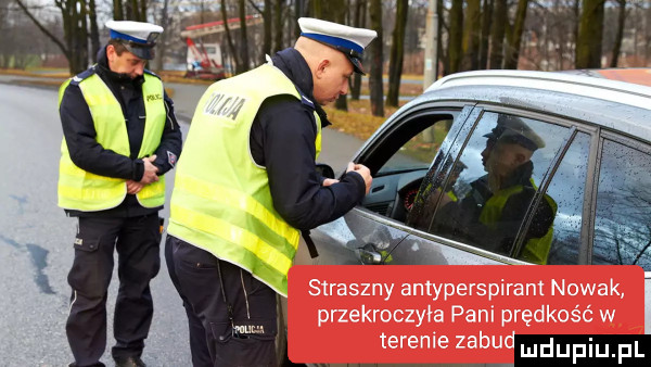 straszny antyperspirant nowak przekroczyła pani prędkość w terenie zabud   ludupiu. pl