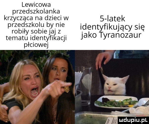 lewicowa przedszkolanka krzycząca na dzieci w przedszkolu by nie robiły sobie jai z tematu identyfi arji płciowej   iatek identyfikujący się jako tyranozaur