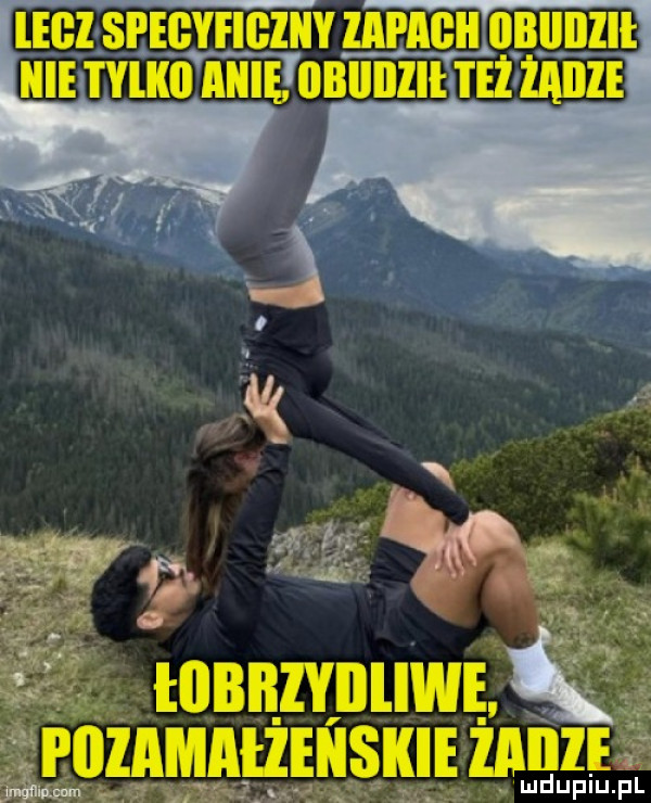 lecz seegyfigzny lai akii oblllllil itylkii anię wobiiiiiim eż żabie rnznmntziusmmnzs w kf      lg im