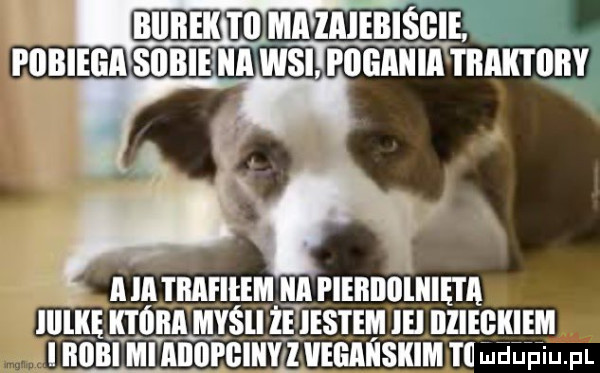 mam samum w s yl r n a n u i n fnmunv a ia ibaeieem a fieiiiiolnięta llllkę k óba myśli ie listem lal liliebkiem i robi mi aiiopgiiiylijegaaskim i tlfudupiu. pl