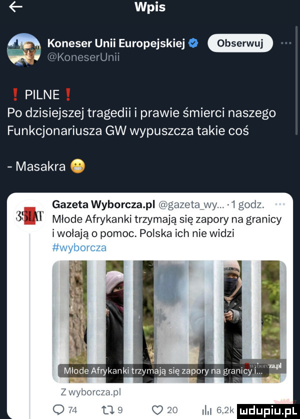 wpis lh koneser unii europejskieja obserwuj korieserunii pian e po dzisiejszej tragedii i prawie śmierci naszego funkcjonariusza gw wypuszcza takie coś masakra gazeta wyborcza pl     młode afrykanki trzymają się zapory na granicy iwoiają o pomoc polska ich nie widzi