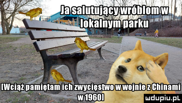 baaslutuiaw wróblnin w lukalnvlłlfnarkum wuląz pa glam hiwynleslwnwwninierzchinaml v email ludupiu. il a