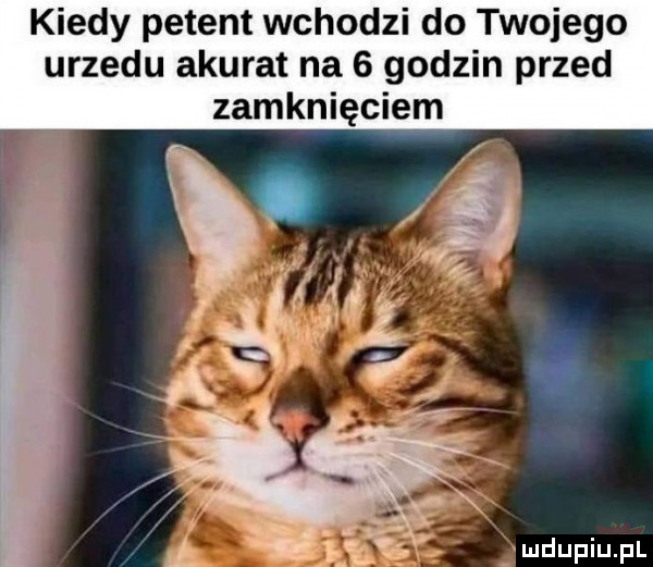 kiedy petent wchodzi do twojego urzedu akurat na   godzin przed zamknięciem