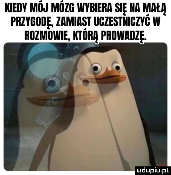 kiecy moj mozo wybiega się ica maila przygodę zamiast oozestiiiozyo w iiozmowie. ktora paowaozę