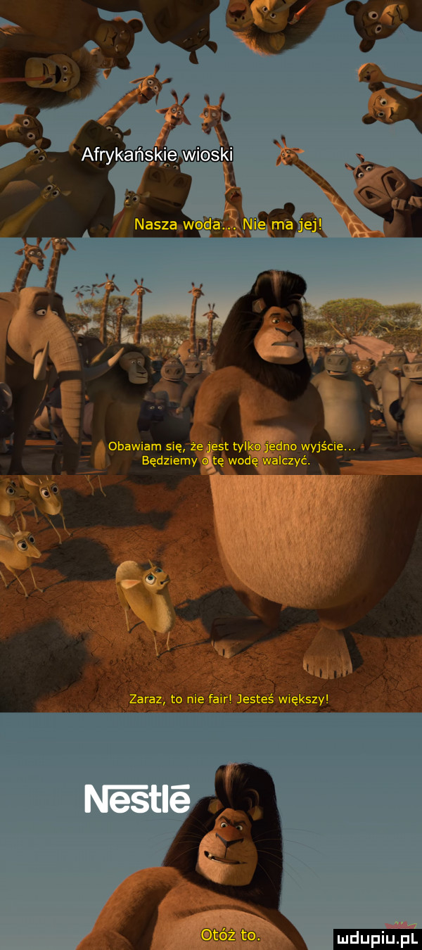 obawiam się bed