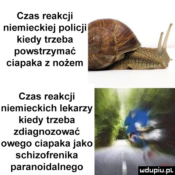 czas reakcji niemieckiej policji kiedy trzeba powstrzymać ciapaka z nożem czas reakcji niemieckich lekarzy kiedy trzeba zdiagnozować owego ciapaka jako schizofrenika paranoidalnego duciu fl