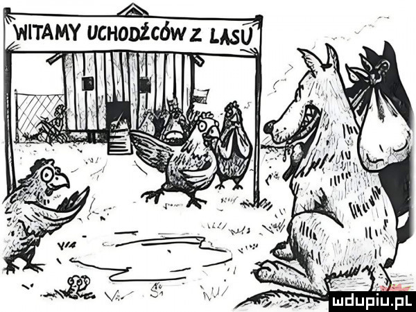witamy uchonźcówz lasu h