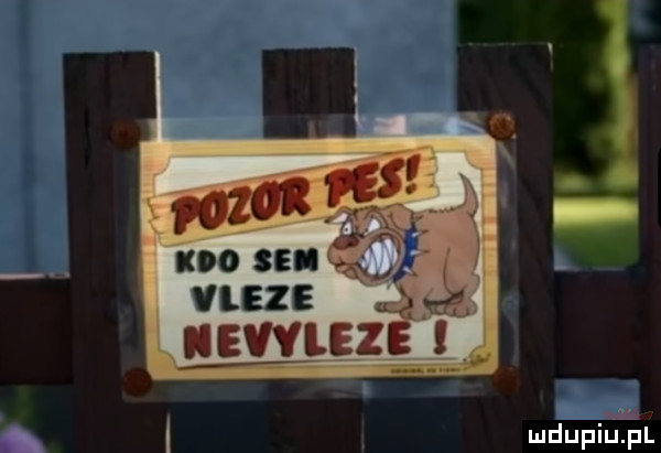 usvneze mdupiifﬁl