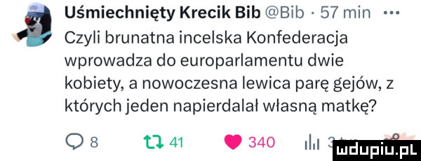 uśmiechnięty krecik bib bib    min czyli brunatna incelska konfederacja wprowadza do europarlamentu dwie kobiety a nowoczesna lewica parę gejów z których jeden napierdalał własną matkę q   u    o     i mm