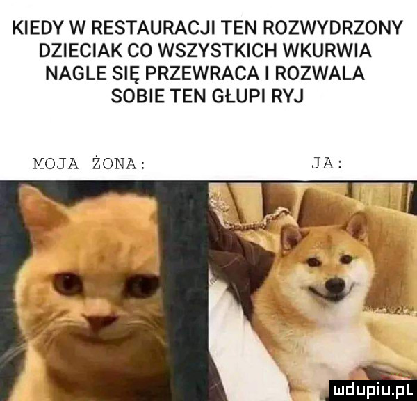 kiedy w restauracji ten rozwydrzonv dzieciak co wszystkich wkurwia nagle się przewraca l rozwala sobie ten głupi ryj moja żona ja