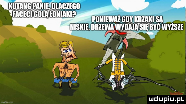 pdiiiewiiż bai khaki są j haskie iiiizee ici i wviima swe wsi x w kal l lilli piiiieóimbiego