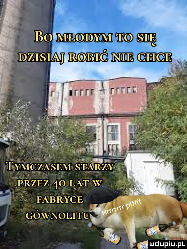 śmduaiupl