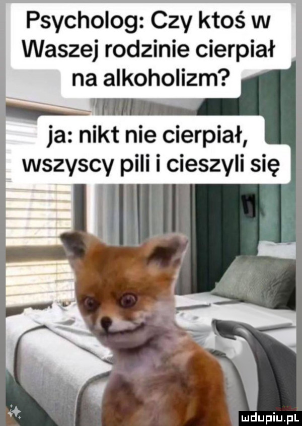 ja nikt nie cierpiał wszyscy pili i cieszyli się   a v