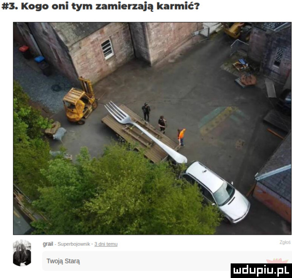 koga ani tym zamierzają karmić