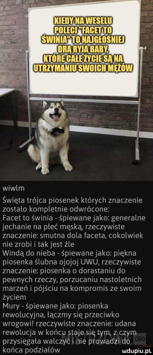 ekiery rm weseli piegi frbh f  swiniw w ilitlllimśnlel wiwlm święta trójca piosenek których znaczenie zostalo kompletnie odwrócone facet to świnia śpiewane jako generalne jechanie na plec męską rzeczywiste znaczenie smutna dola faceta cokolwiek nie zrobi i tak jest źle windą do nieba śpiewanejako piekna piosenka ślubna ojojoj ubu rzeczywiste znaczenie piosenka o dorastaniu do pewnych rzeczy porzucaniu nastoletnich marzeń i pójściu na kompromis ze swoim życiem mury śpiewane jako piosenka rewolucyjna leczmy się przeciwko wrogowi rzeczywiste znaczenie udana rewolucja w końcu staje się tym z czym przysięgała walczyć i nie prowadzi do końca podziałów