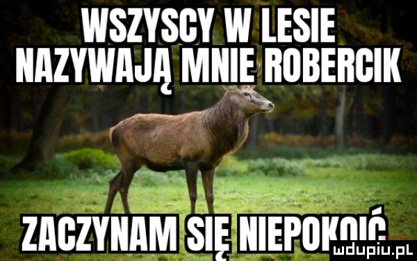 wszyscy w lesie nazywam mniępiibebgik znczvmuvl slęile lioiłełśm