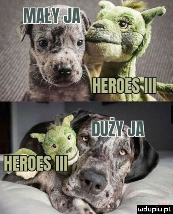 Obrazek