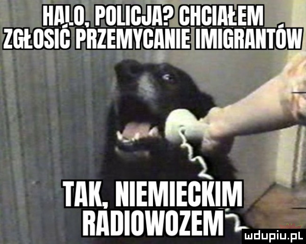 ham. mewi cumntim. mulic pnzimvcgmi immnnnmw tak. niemieckim iłlllllllwllzem l l