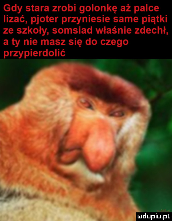 mdupiu hl