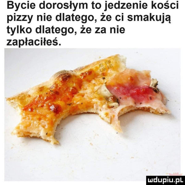 bycie dorosłym to jedzenie kości pizzy nie dlatego że ci smakują tylko dlatego że za nie zapłaciłeś. ludu iu. l