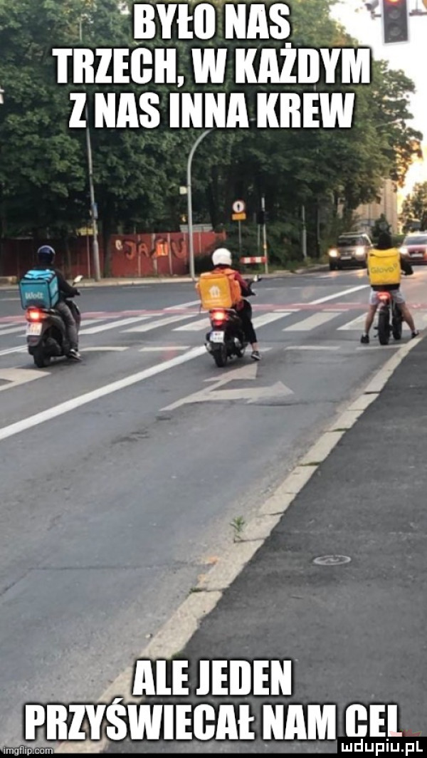nvaastf f muenwxnżnvmg zuns i mw. a    mmm mświegał nam nn mduplu pl