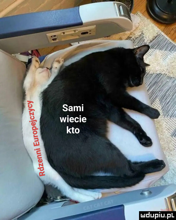 sami wiecie kto