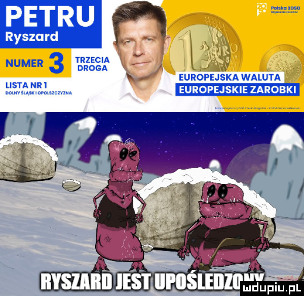 ryszard. irzecia v numer   droga europejskawaluta          mm europejskie zarobki